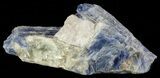 Vibrant Blue Kyanite Crystal In Quartz - Brazil #56934-2